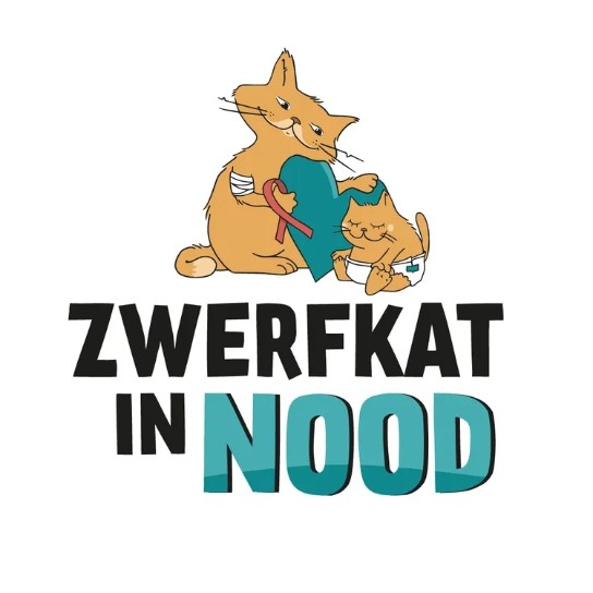  (vergroot foto)